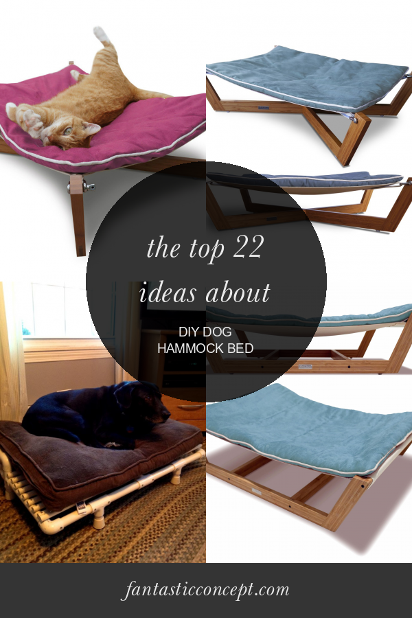 The top 22 Ideas About Diy Dog Hammock Bed Home, Family, Style and